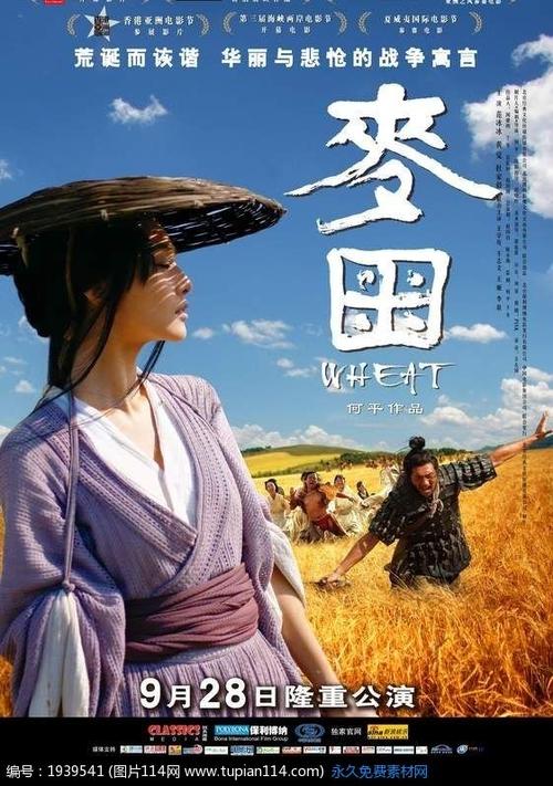 做个假爱尔兰护照电子版